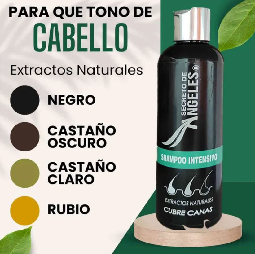 Shampoo Cubre Canas Secreto de Ángeles + Colageno y Exfoliante GRATIS!! - GRAN OFERTA